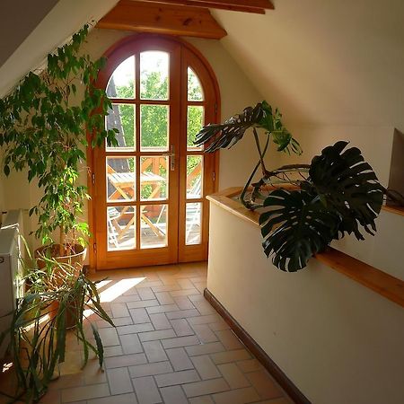 Aranyhaz Apartmanszallas Tihany Exterior photo